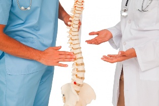 Лекари и гръбначен модел